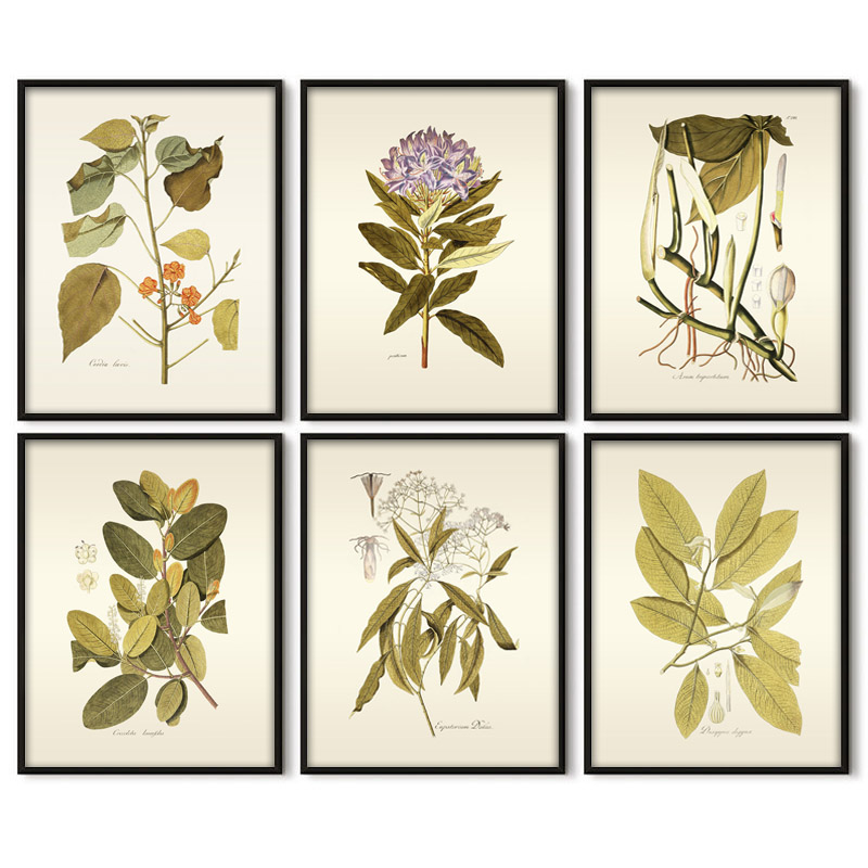 ハーブ植物の壁の芸術の絵画,ヴィンテージの花の葉,家,オフィ - Office Furniture York のレビューと価格
